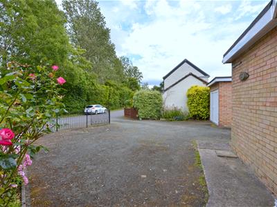 Picture 25